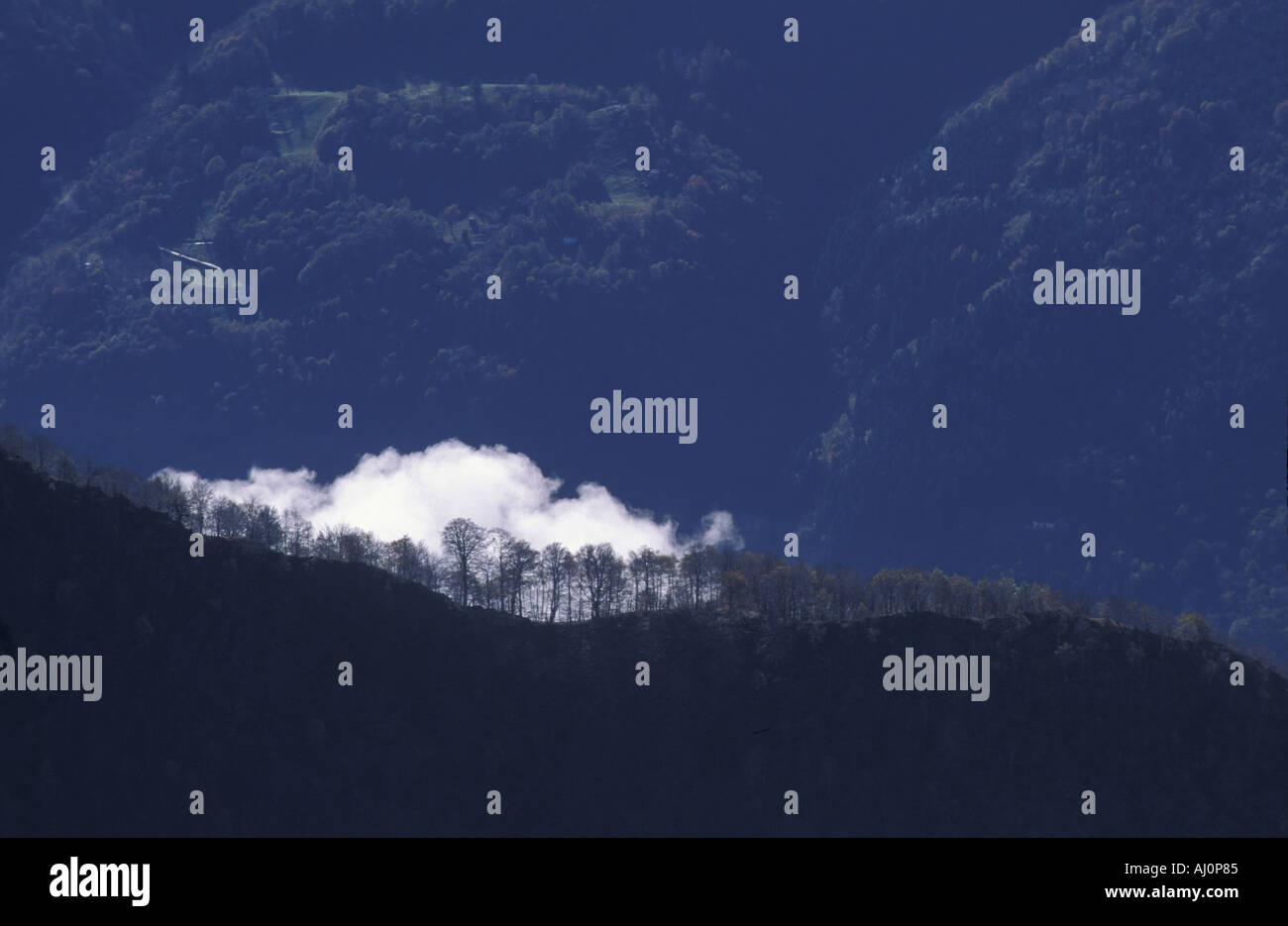 Fog from valley floor hi-res stock photography and images - Alamy