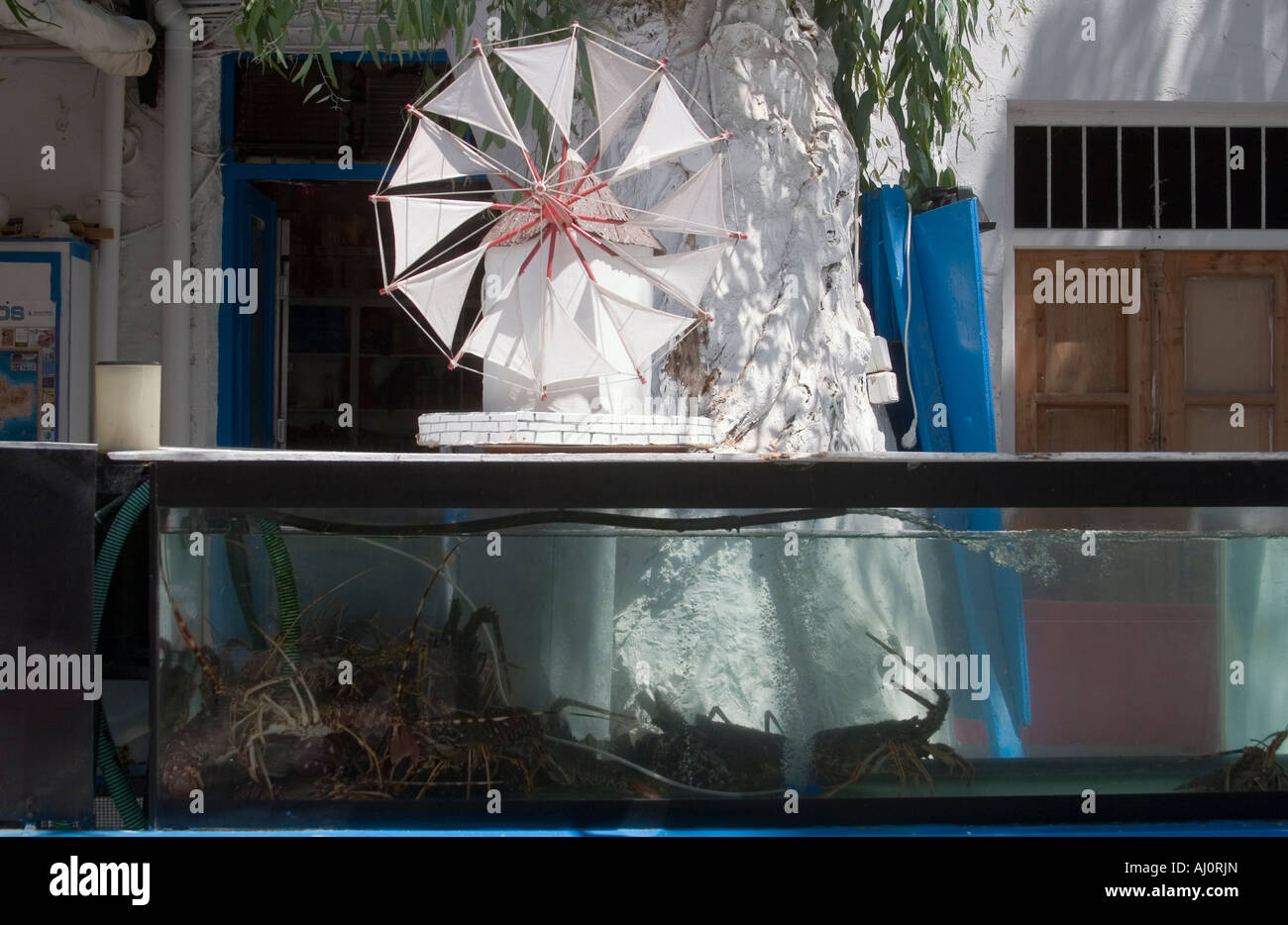 Mykonos, GREECE Live lobsters on display in front of a restaurant in the center Miconos
