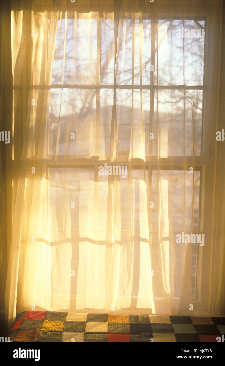 Sheer curtains through paned window Stock Photo