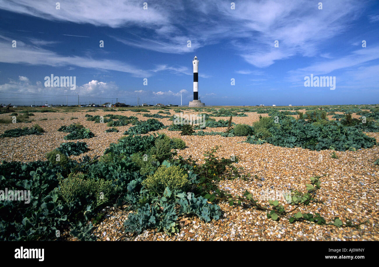 The new Dungeness Lighthouse Dungeness Kent Stock Photo Alamy