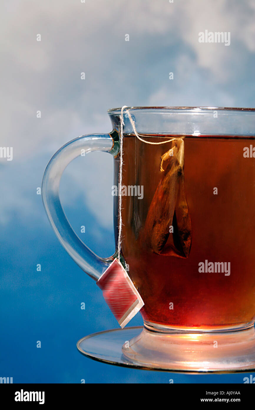 Freshly Brewed Beverage Clear Glass of Hot Tea with Tea Bag Hot Beverage  Stock Photo