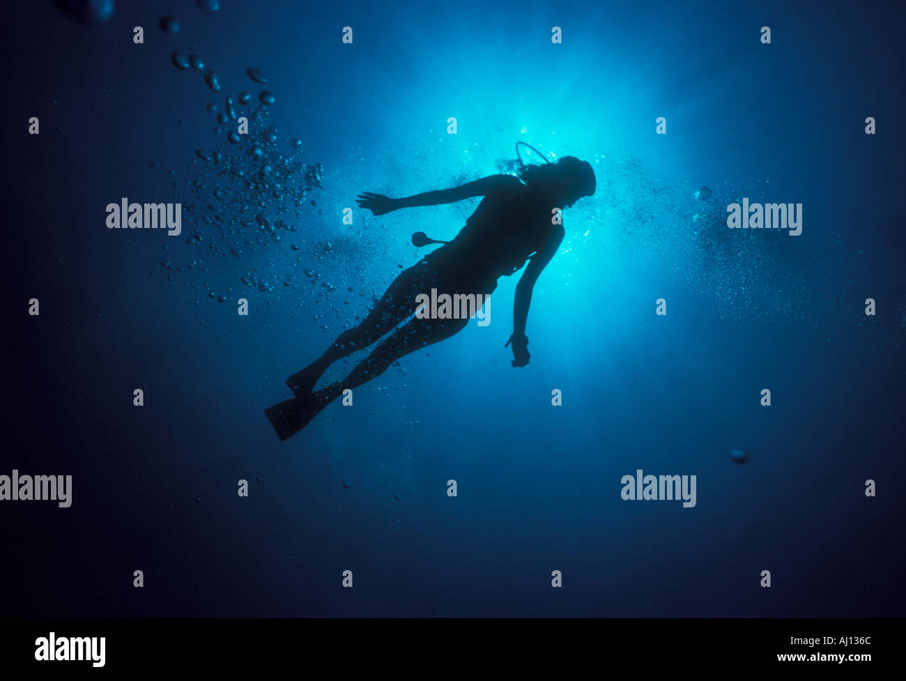 young woman skin diver underwater Stock Photo