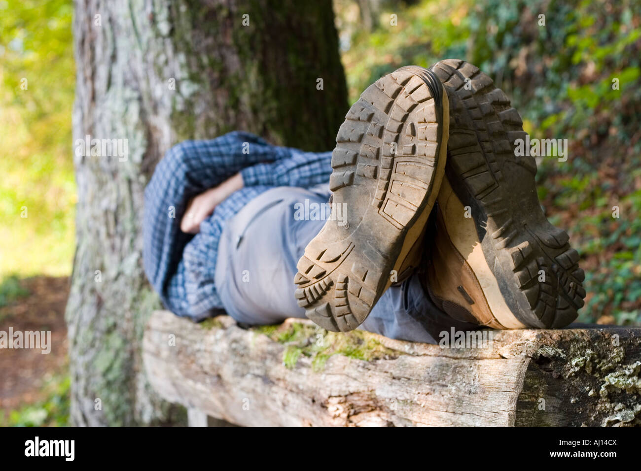 Man sleeping in the forest hi-res stock photography and images - Alamy