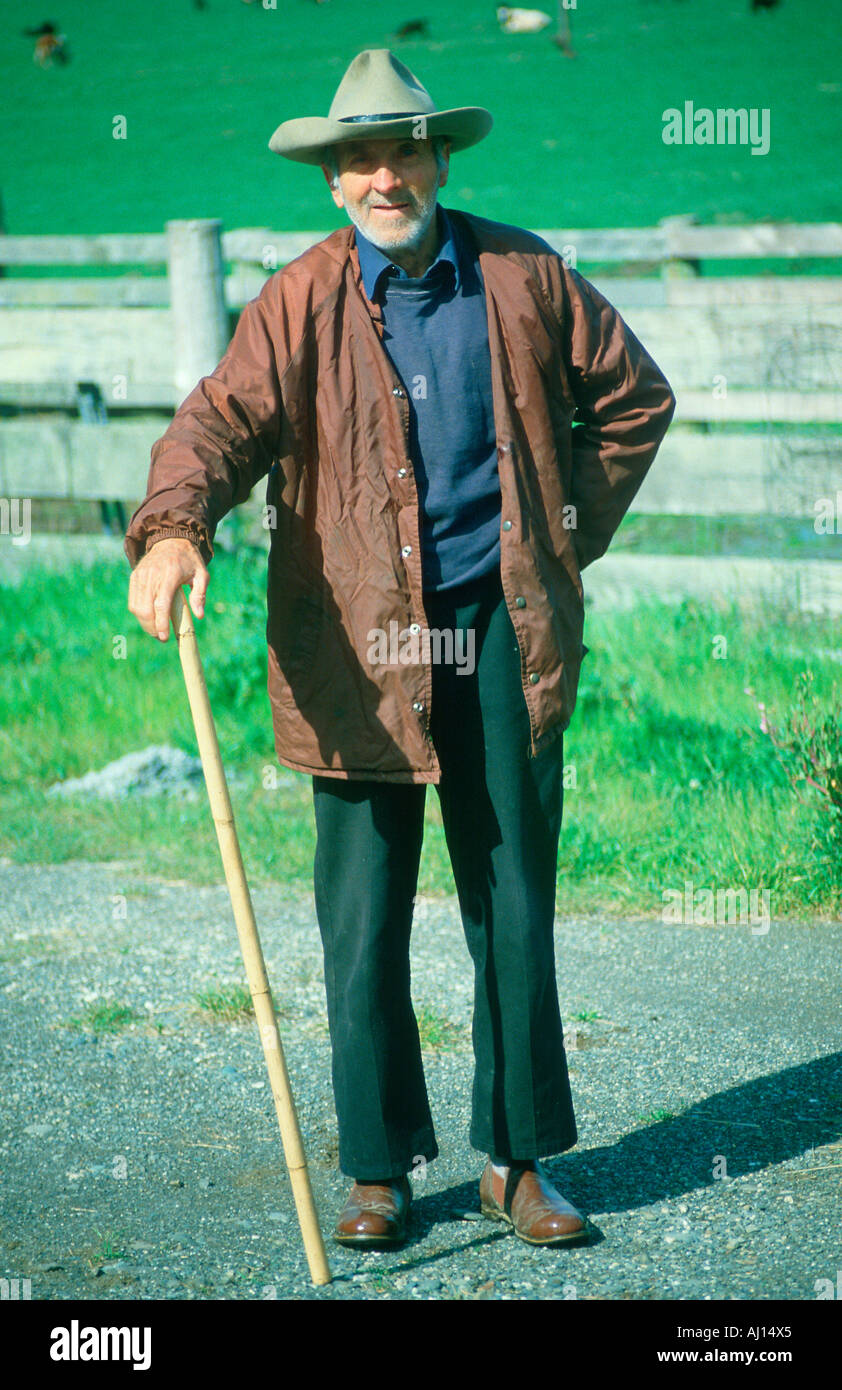 A retired cattle rancher with a cane Ophir OR Stock Photo