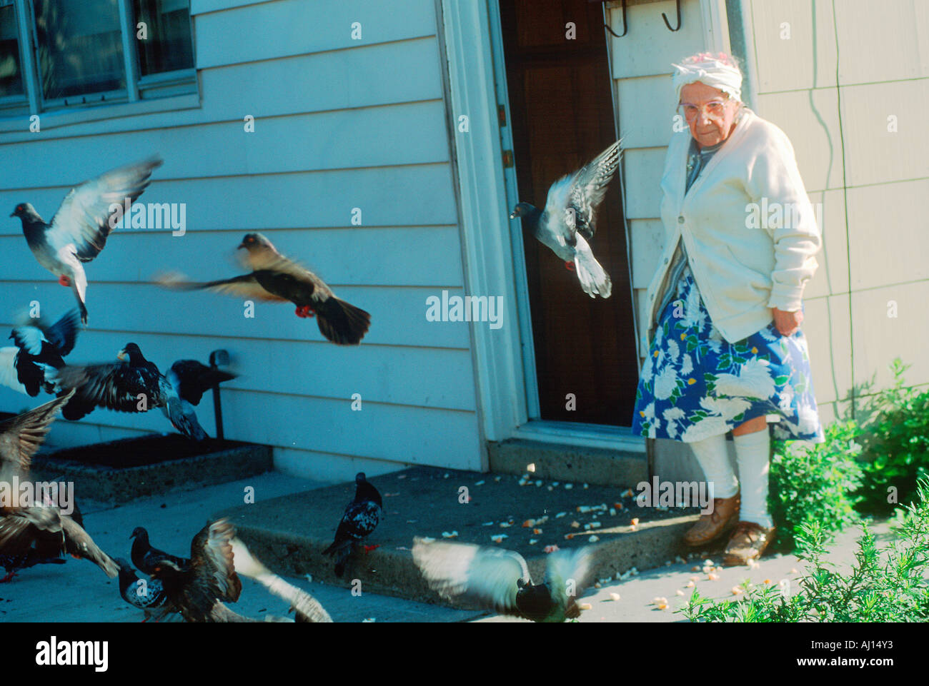 Woman and birds hires stock photography and images Alamy