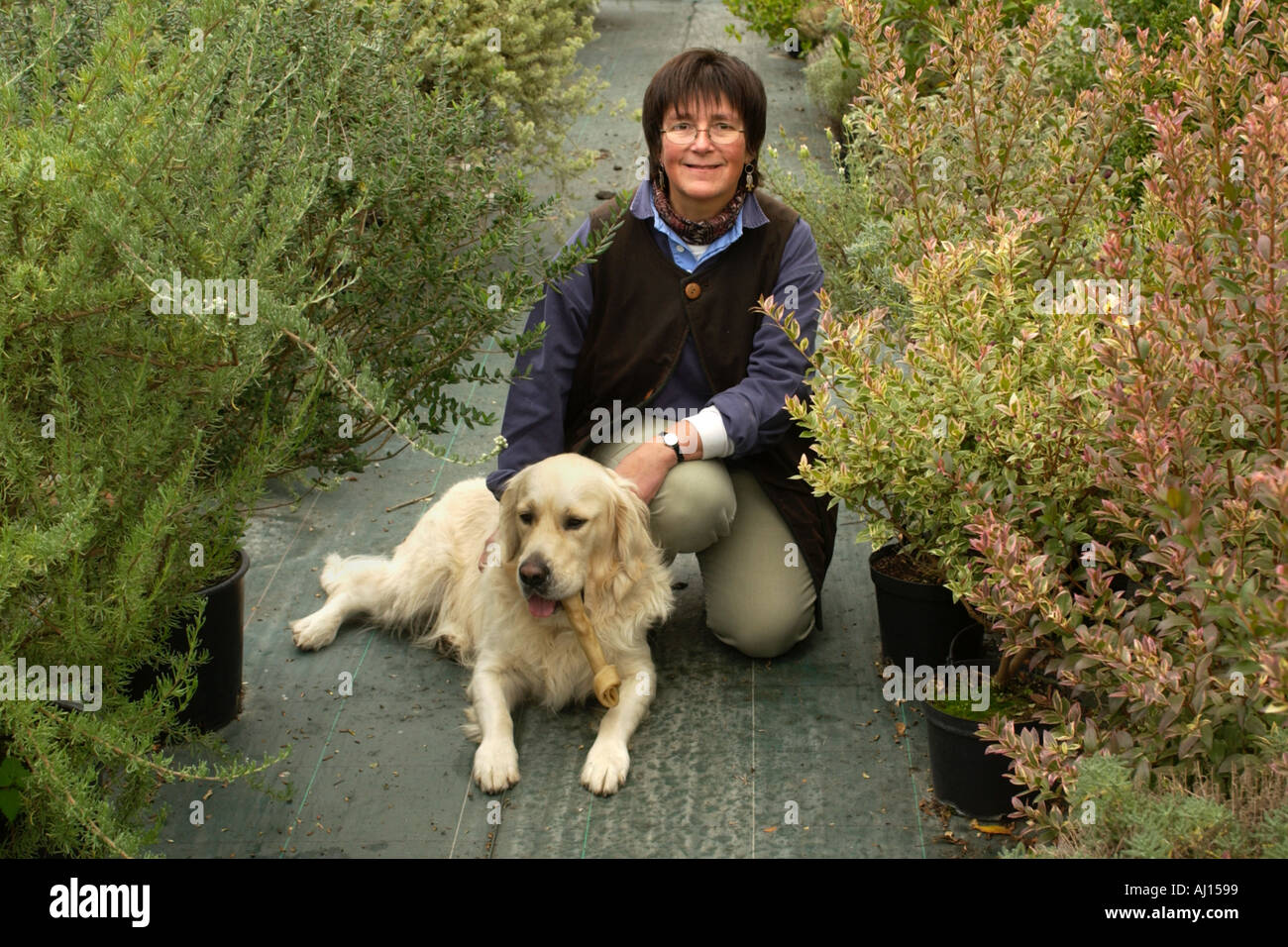 Herb specialist Jekka McVicar in polytunnel at her organic herb farm