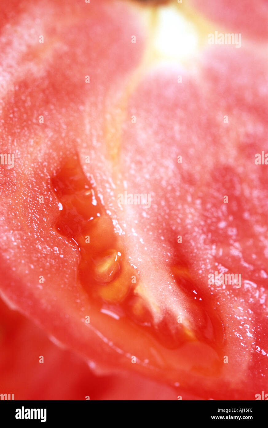 Harvesting vegetable seeds hi-res stock photography and images - Alamy