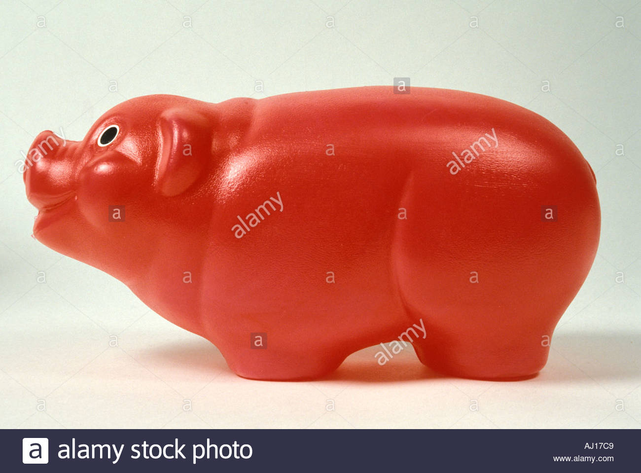 plastic pig piggy bank