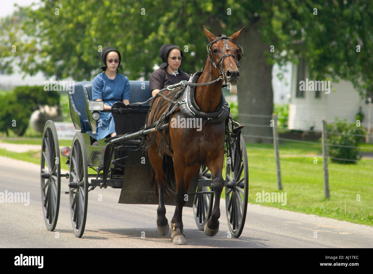 ILLINOIS Arthur Two Amish women in cart pulled by horse on road wear