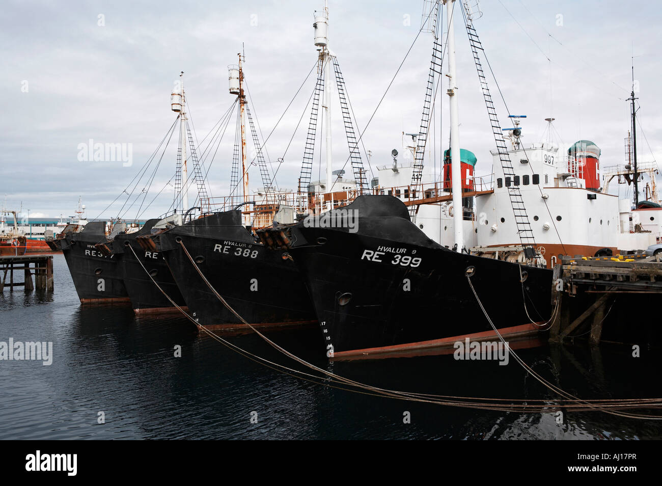 Iceland Reykjavik whaling fleet Stock Photo Alamy