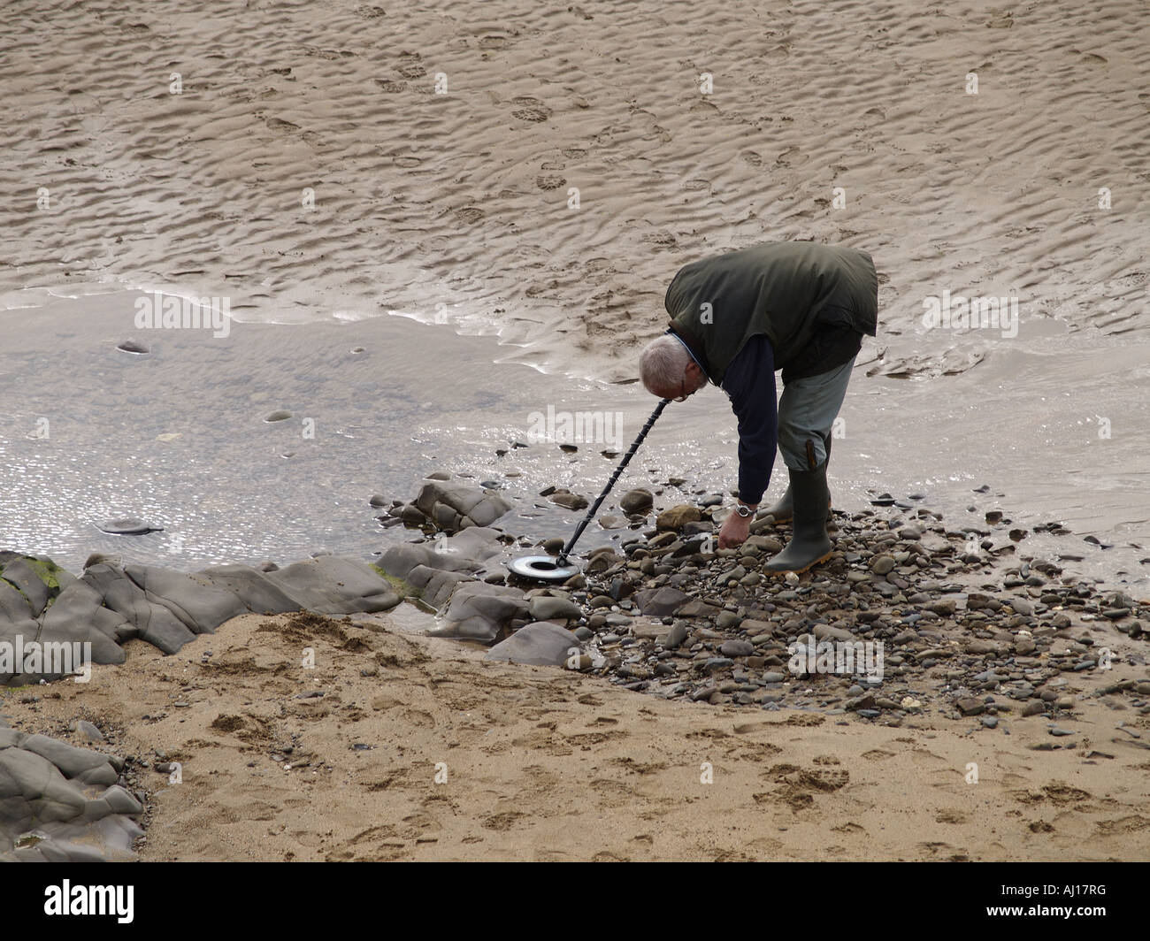 Old man using a hand held metal detector on a sandy beach Stock Photo ...