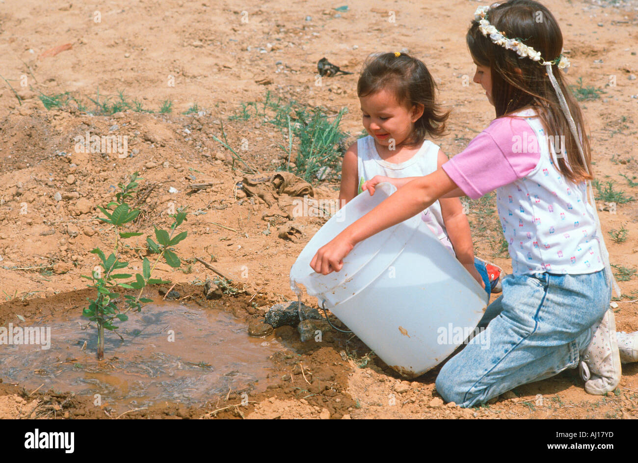 Children watering a sapling on Earth Day Stock Photo