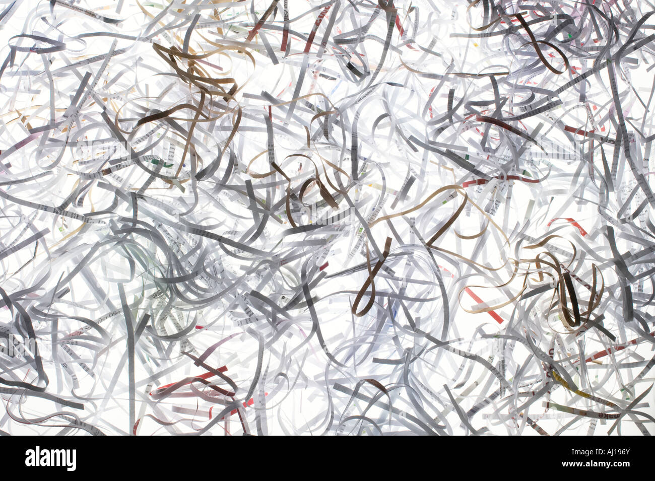 High key lighting studio shot of shredded paper documents ready for ...