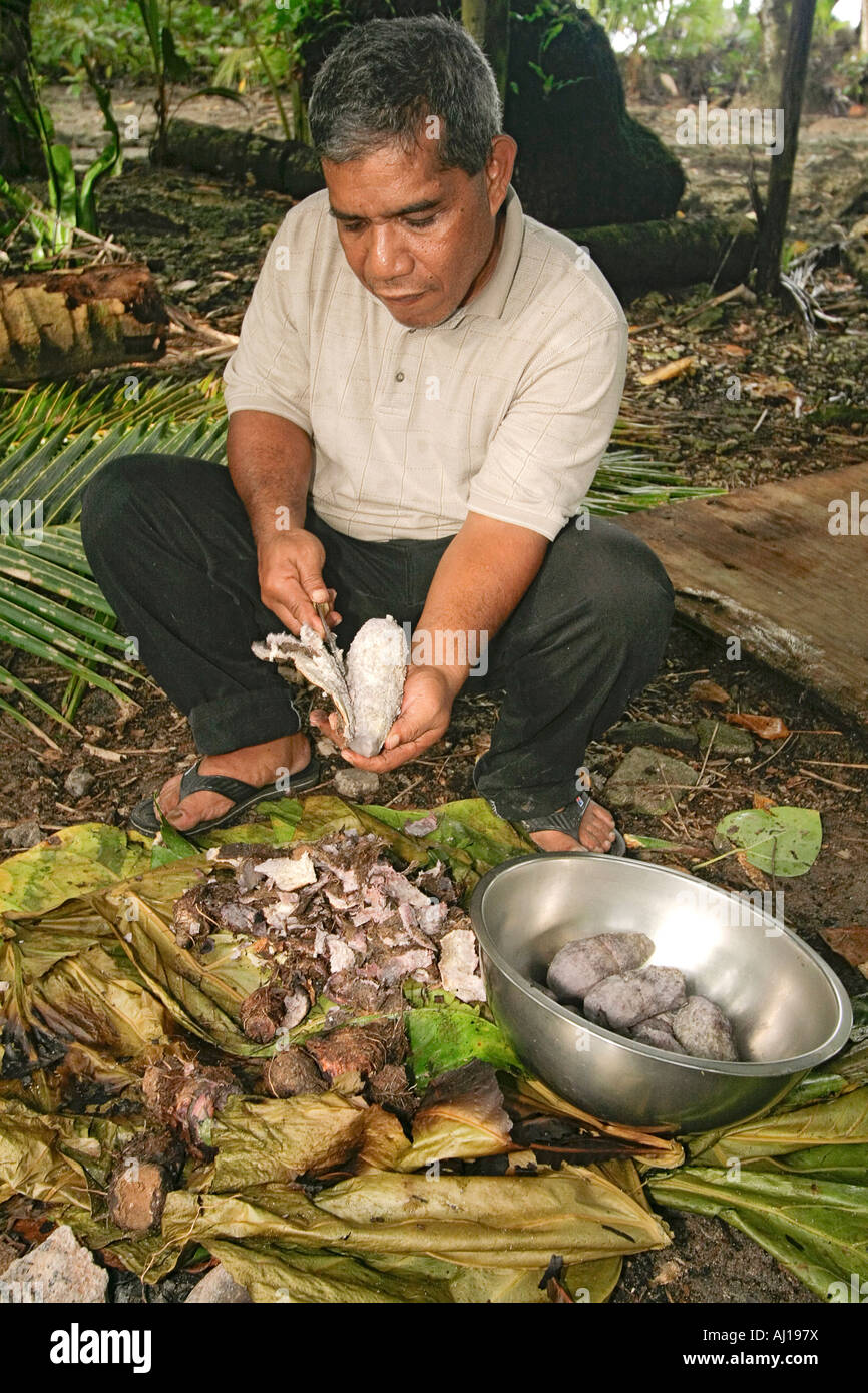 Kosrae man peels cooked taro root first step in making Kosrae dessert called fa fa Stock Photo