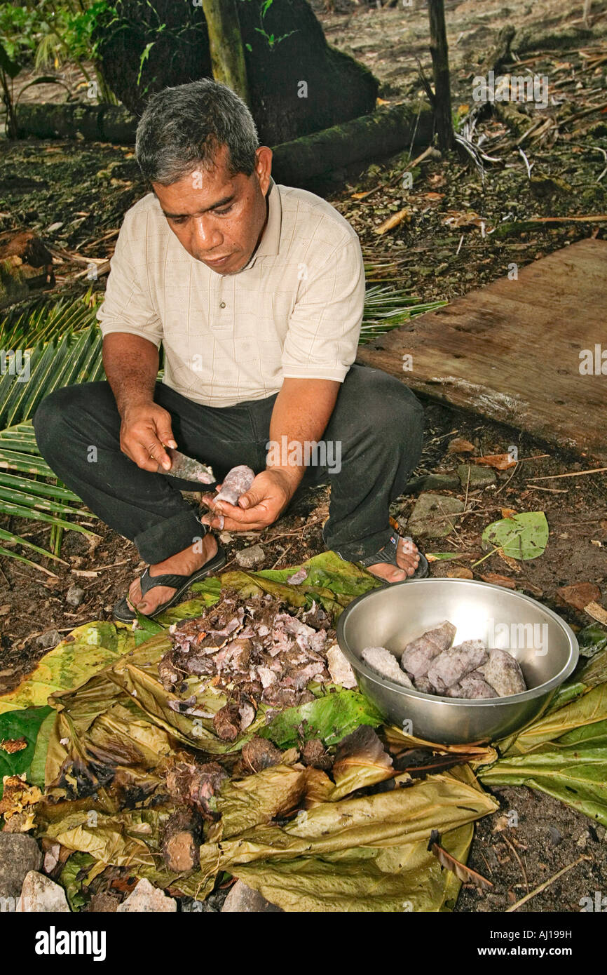 Kosrae man peels cooked taro root first step in making Kosrae dessert called fa fa Stock Photo