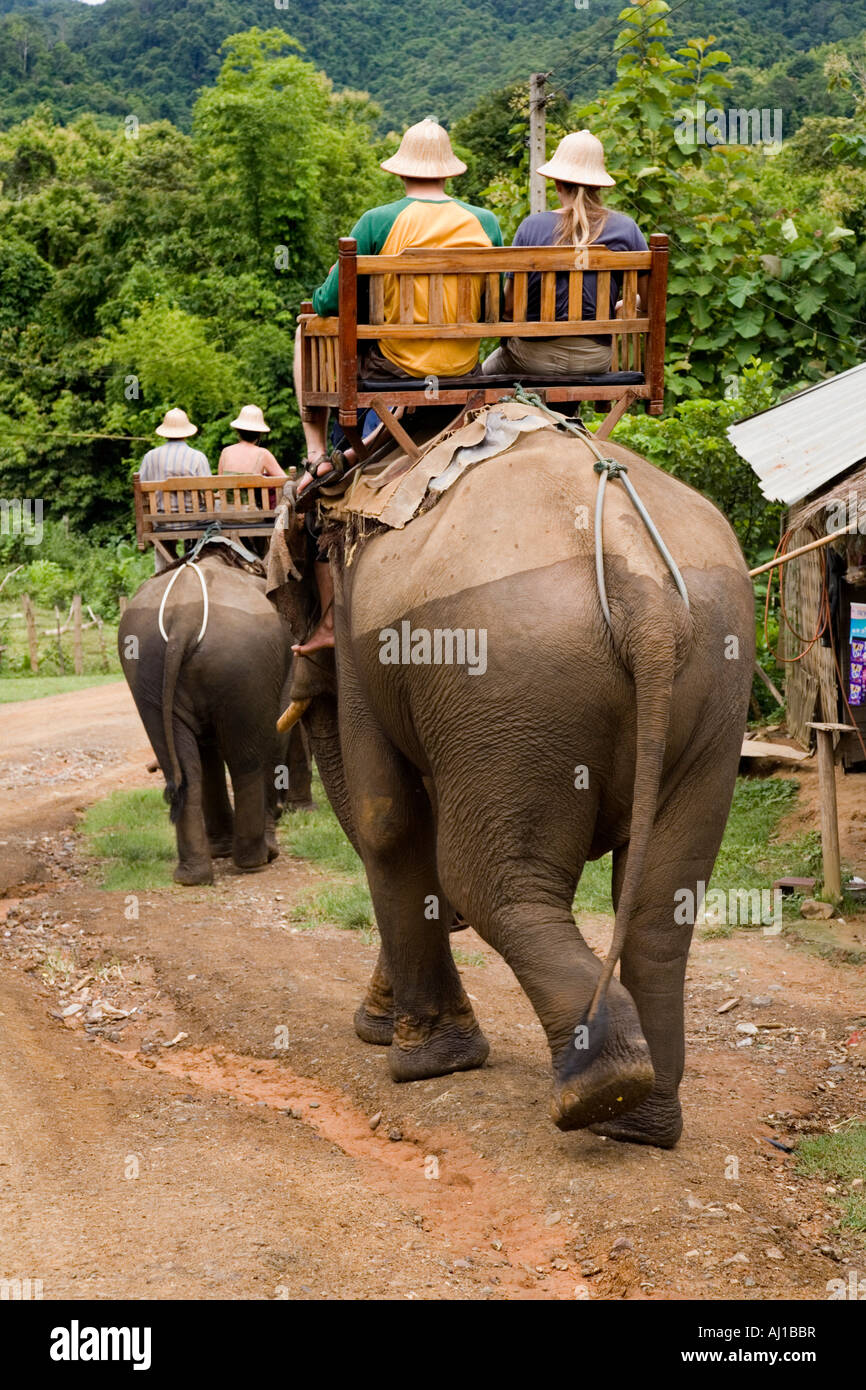 Guests riding a pair of elephants at The Elephant Park Project near