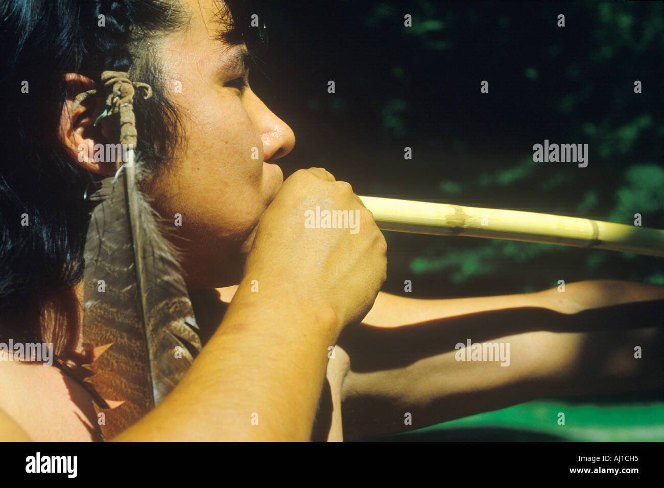 Close up of Cherokee using a blow gun Tsalagi Village Cherokee Nation OK Stock Photo