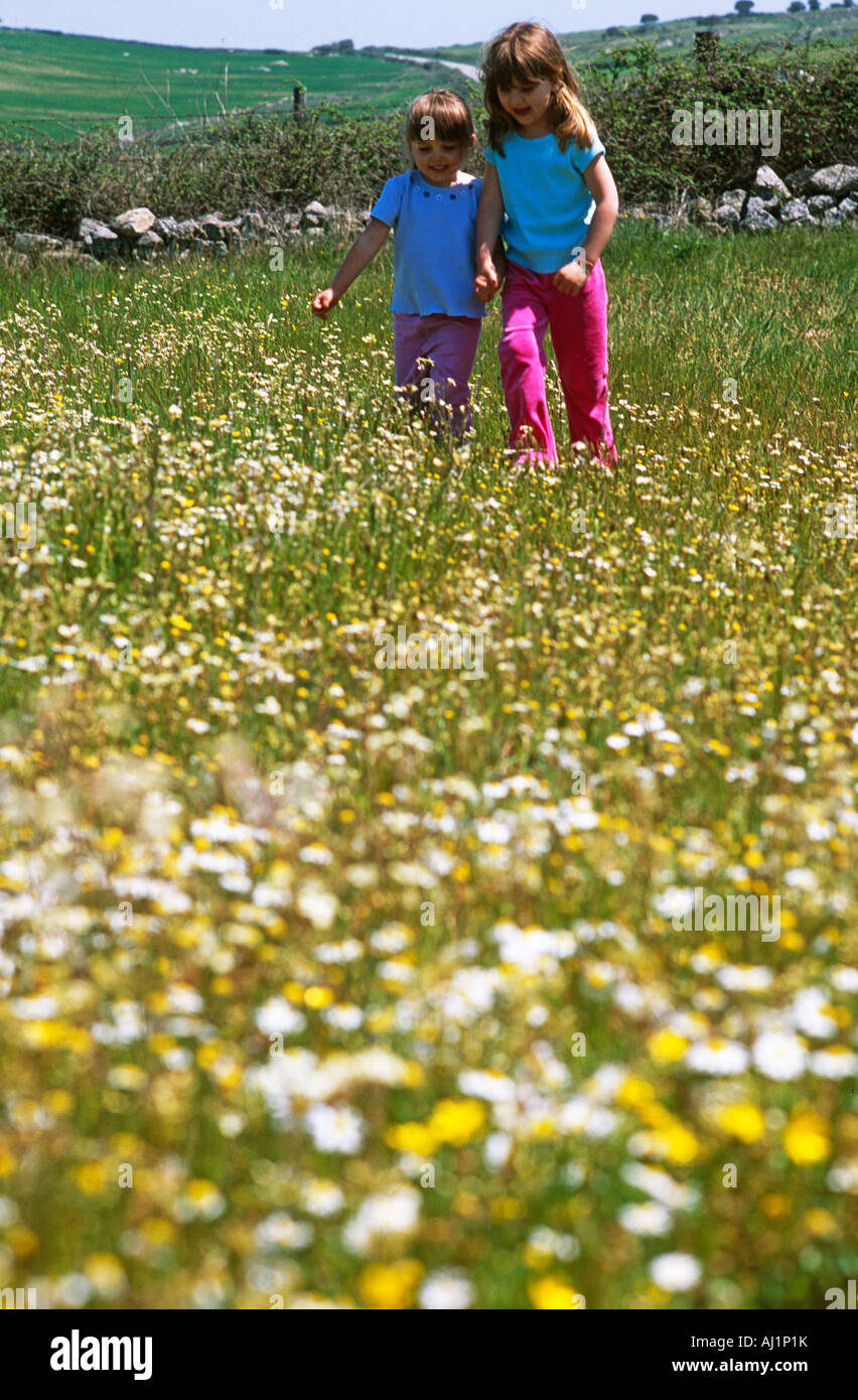 Two young girls walking through field full of spring flowers Stock ...