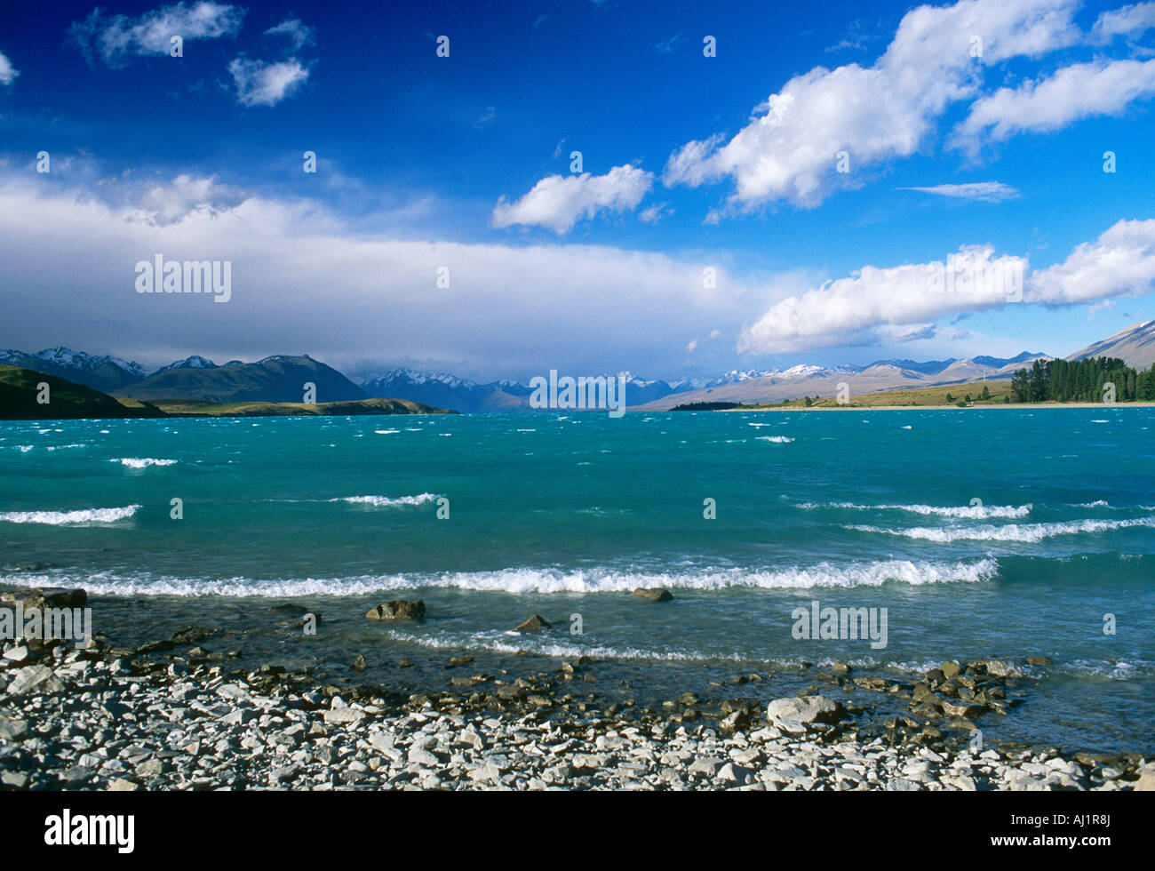 Lake Tekapo ,South Island, New Zealand Stock Photo - Alamy