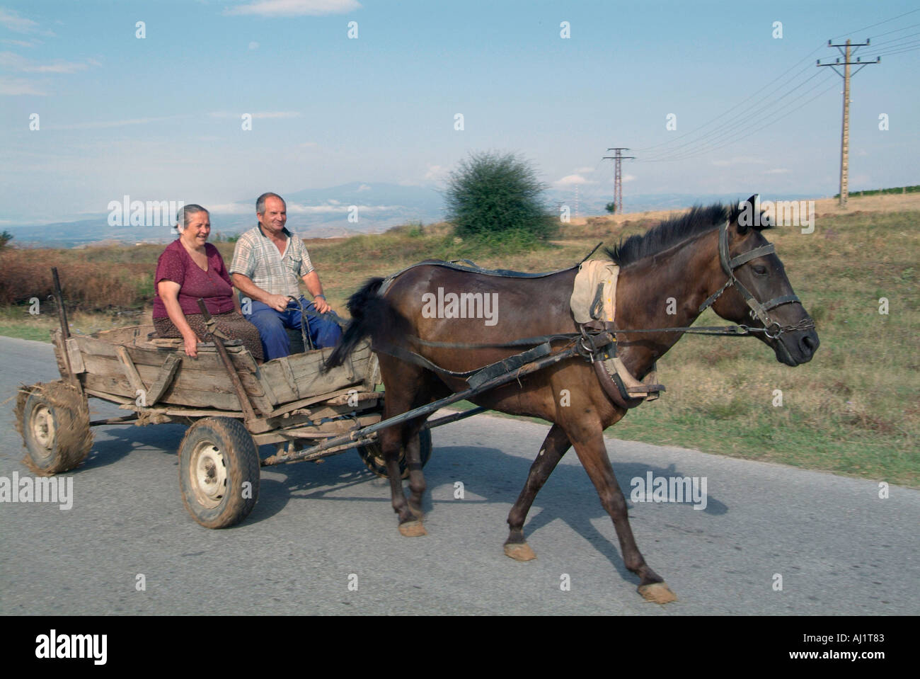 Horse and cart rural Bulgaria Peoples Republic Narodna Republika