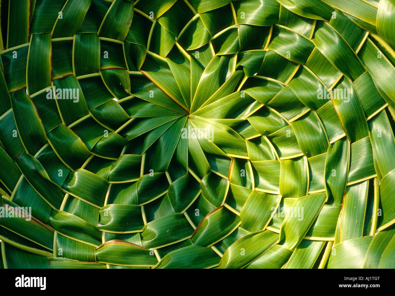 Woven palm hi-res stock photography and images - Alamy