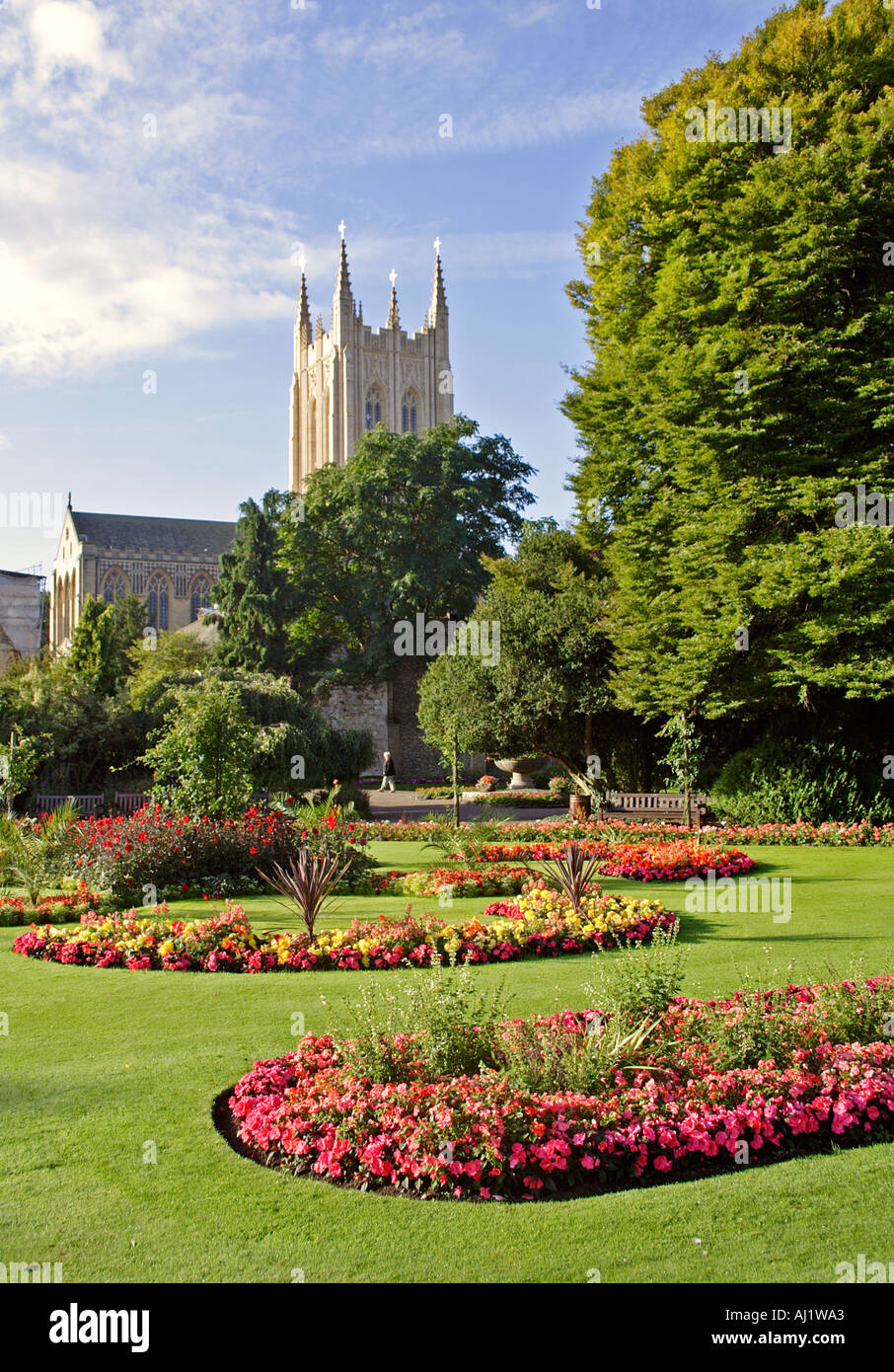 Abbey Gardens with the completed tower of Saint Edmundsbury Cathedral in the background Bury St