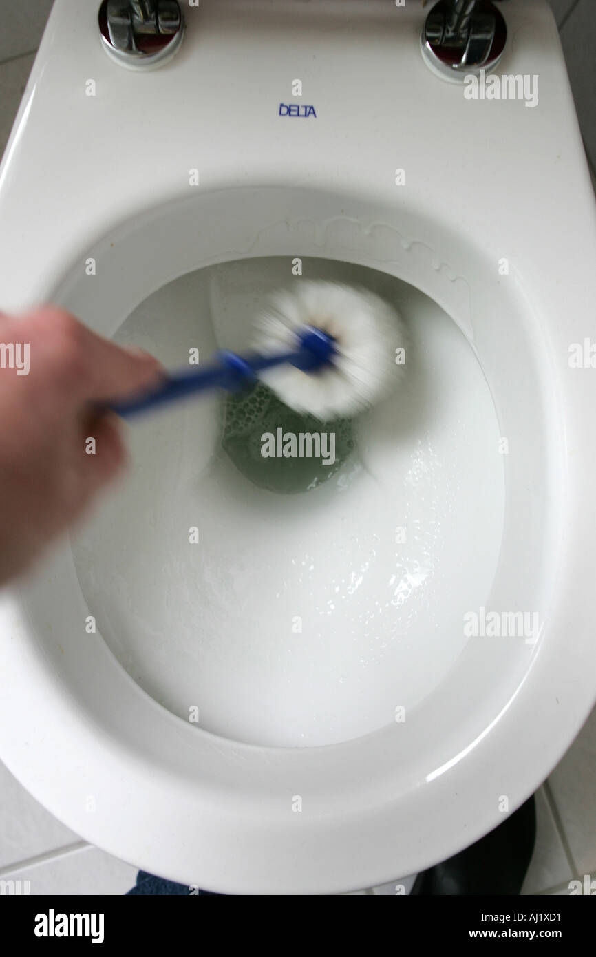 Housecleaning in a private house apartment Cleaning in the bathroom Toilett WC Stock Photo