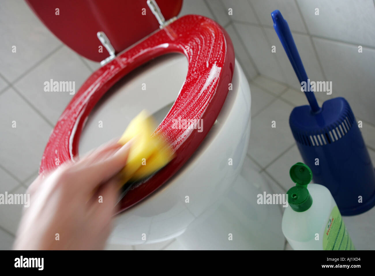 apartment Cleaning in the bathroom Toilett WC Stock Photo
