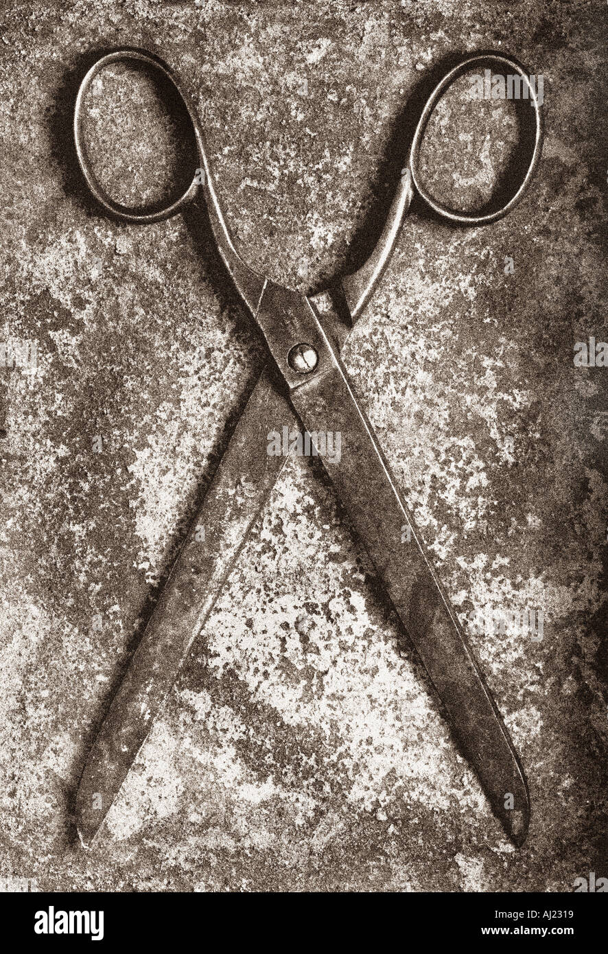 OLD METAL DECORATING SCISSORS Stock Photo