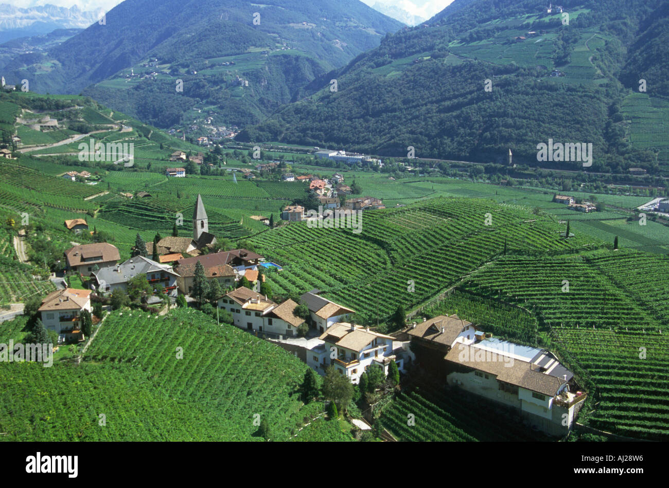 Village vineyards Bolzano Italy Stock Photo