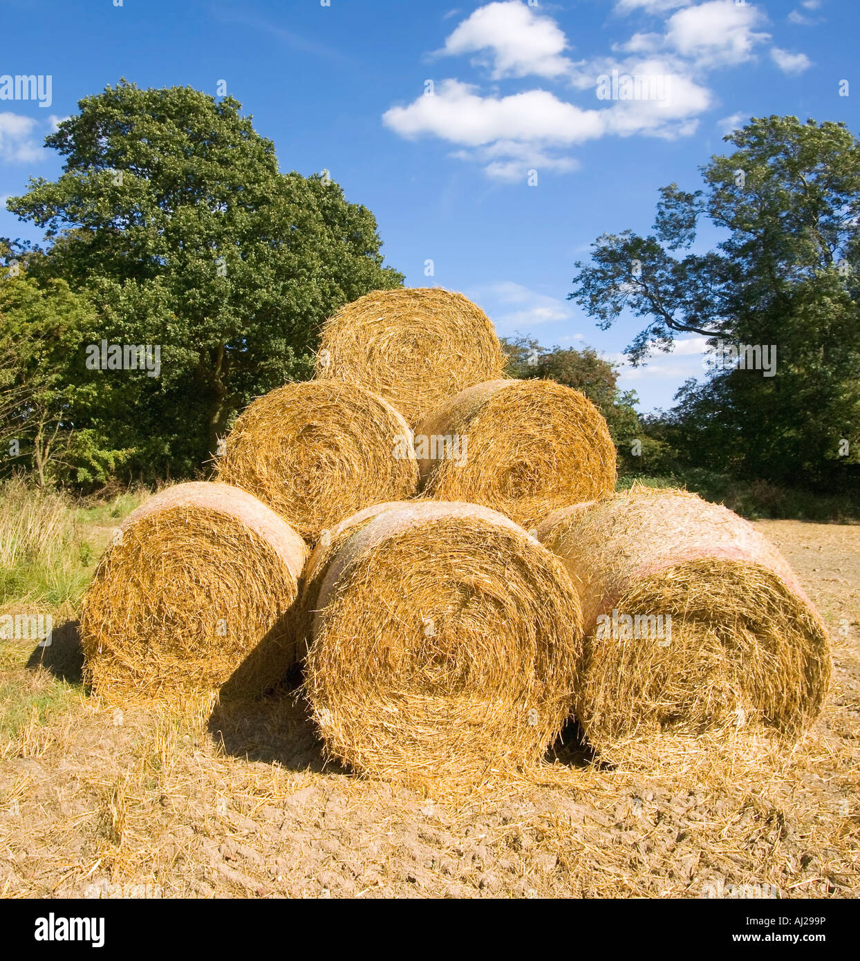 Empty fields after harvest hi-res stock photography and images - Alamy