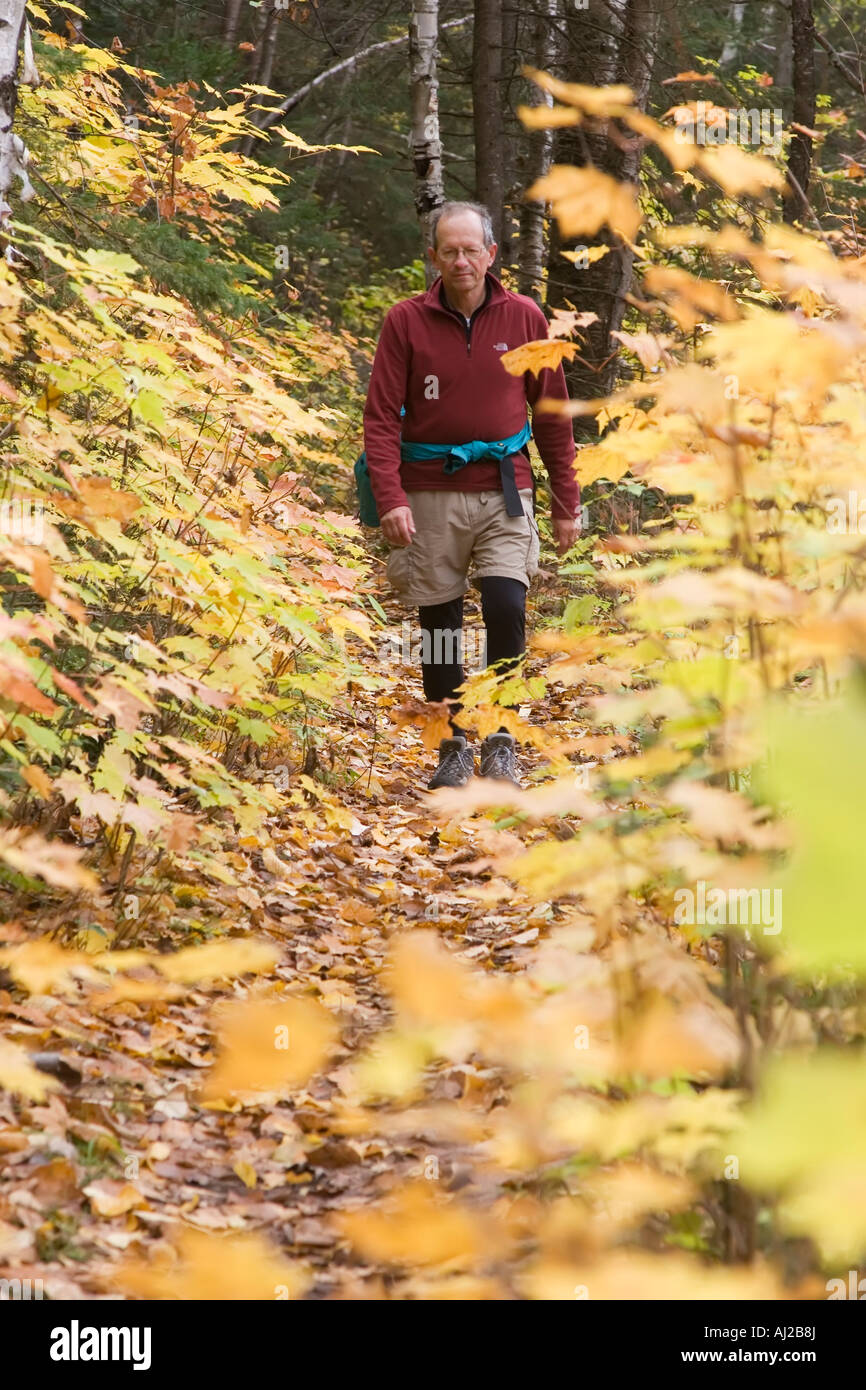 Hiker on trail in Algonquin Provincial Park in the autumn Stock Photo