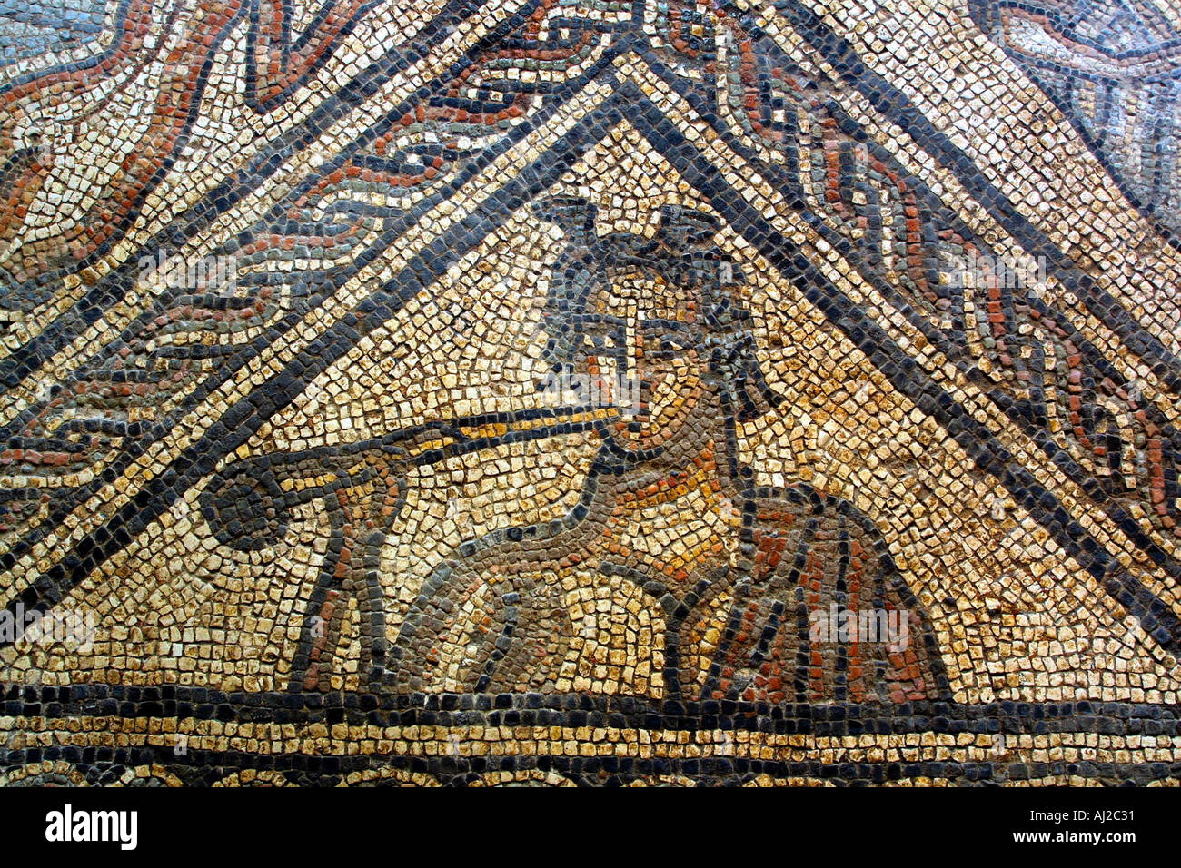 Roman Mosaic Medusa High Resolution Stock Photography and Images Alamy