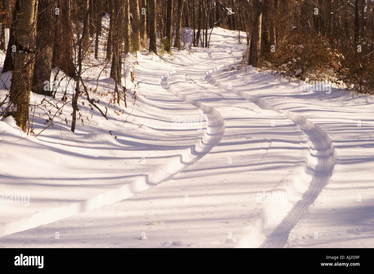 Sinuous car tracks in snow through woods Stock Photo - Alamy