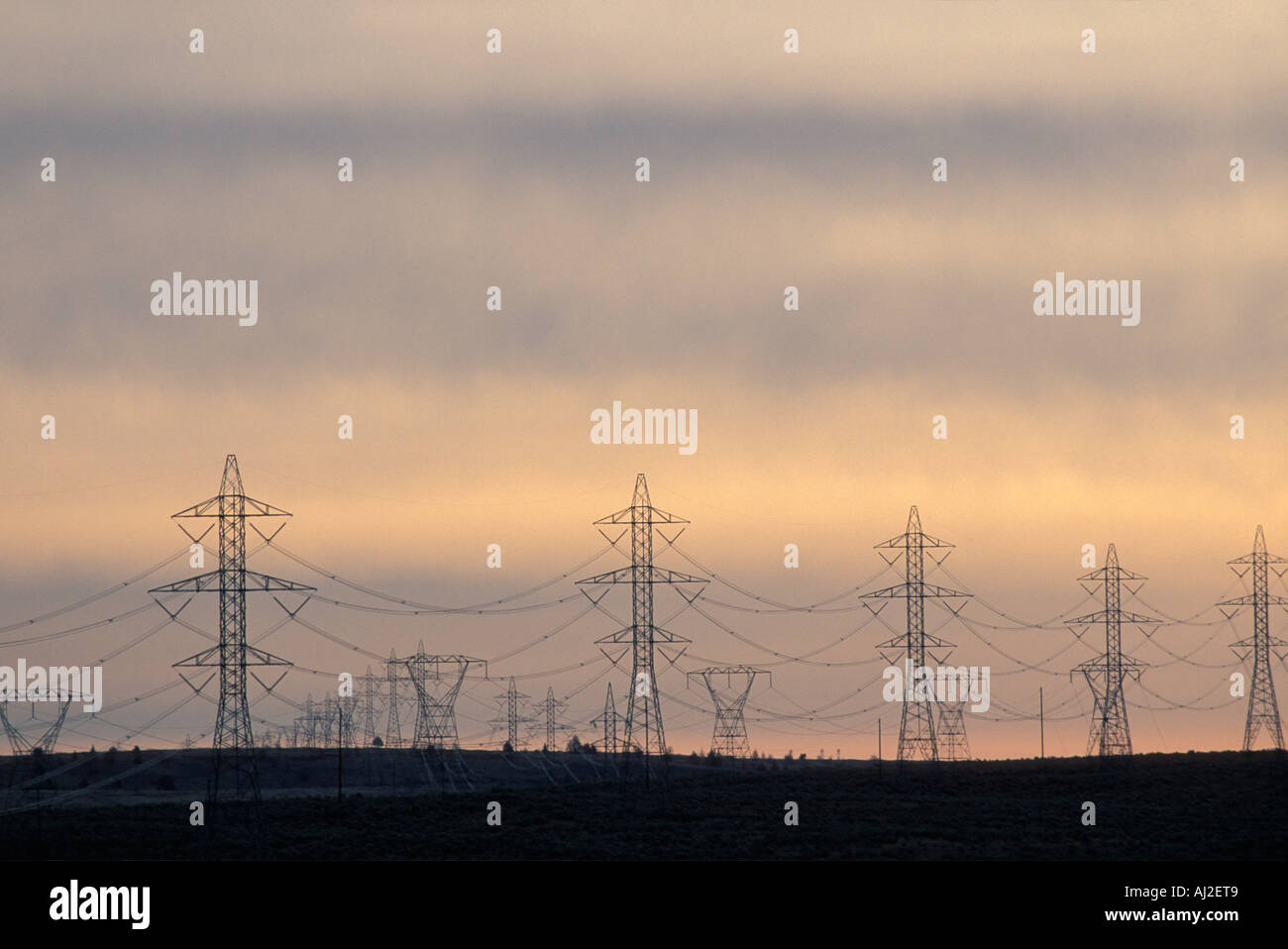 USA Oregon High tension electrical lines silhouetted at dawn near