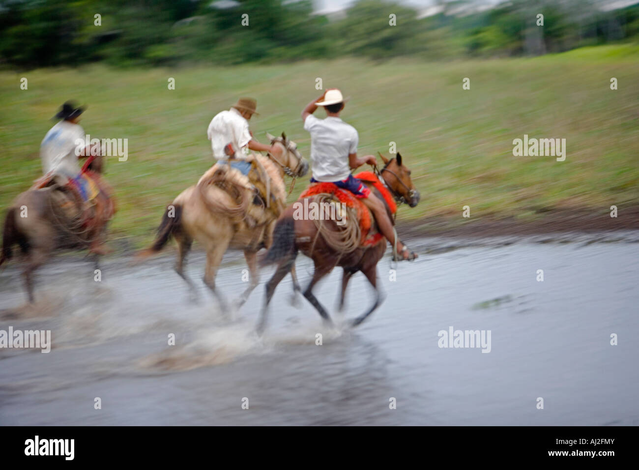 Vestimenta do peao pantaneiro hi-res stock photography and images - Alamy