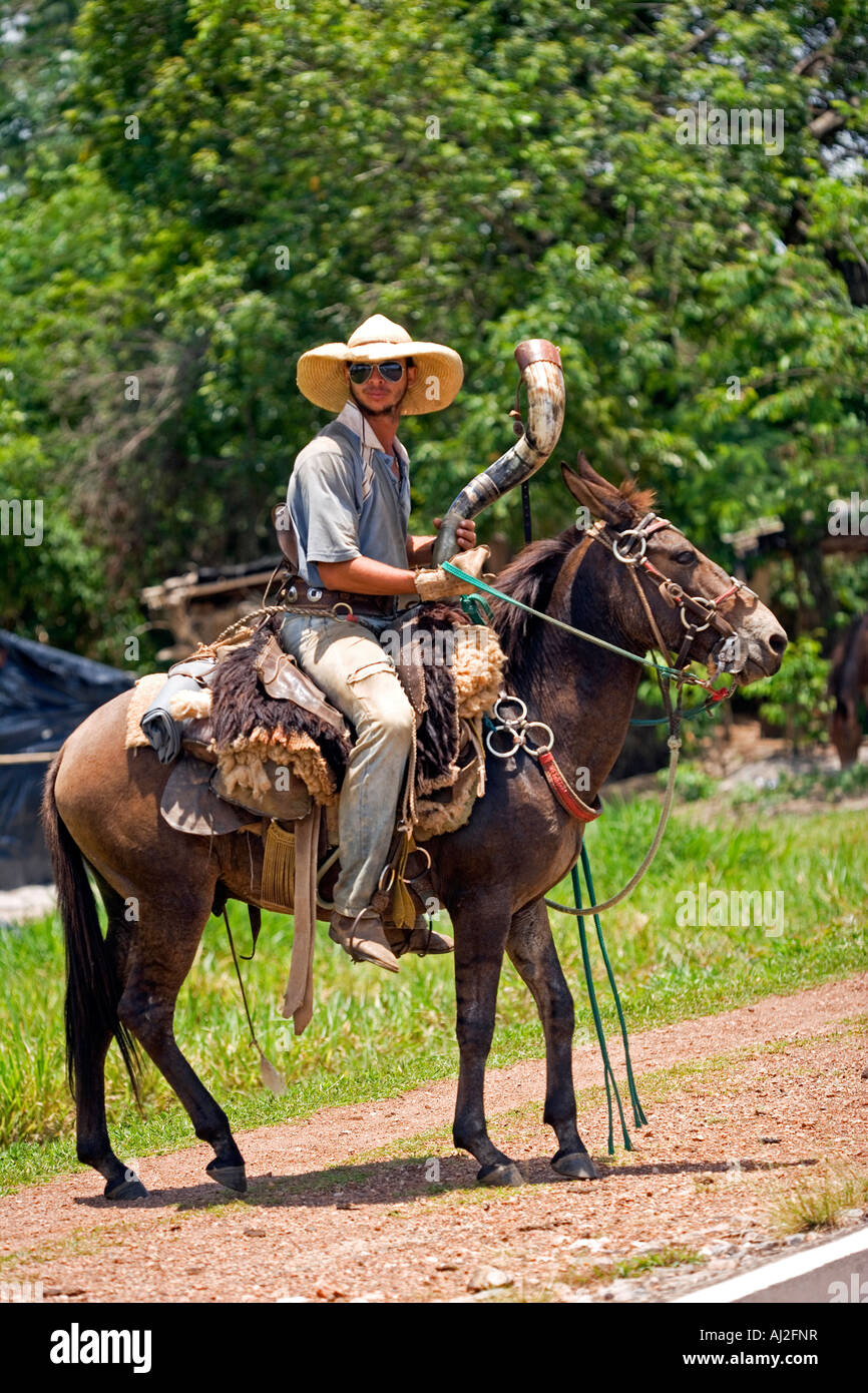 Peão tocando boiada na Transpantanera no Pantanal. Stock Photo