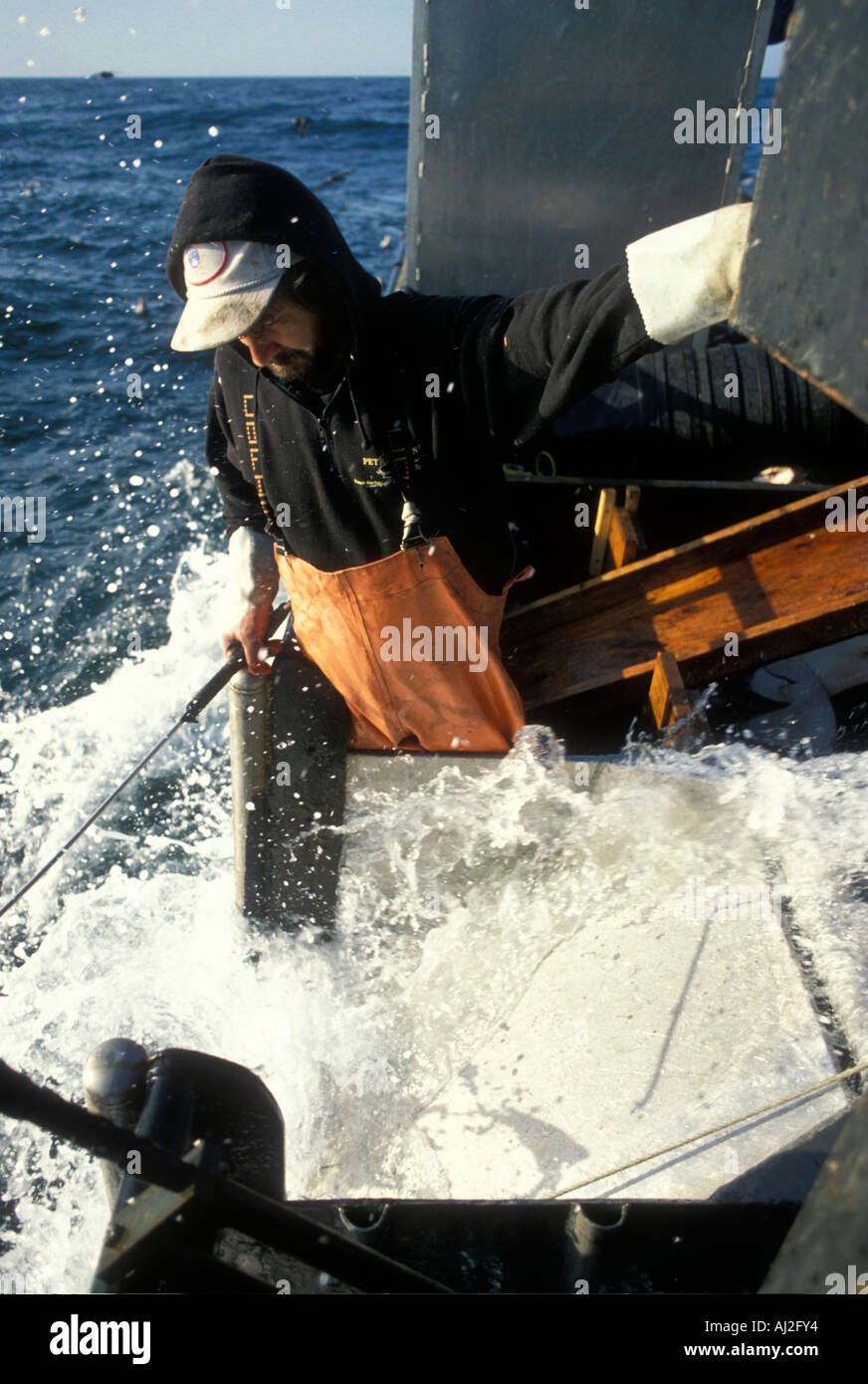 USA Alaska MR Steve Davis works at gunwale pulling in fishing line during 24 hour halibut fishery off Kodiak Island Stock Photo