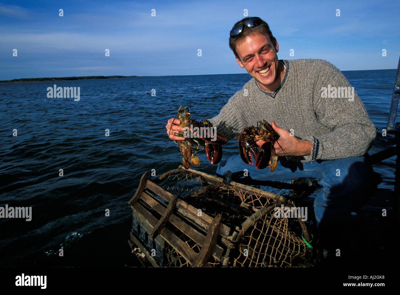 Canada New Brunswick Shediac Eric LeBlanc harvests lobsters from Shediac Bay on autumn afternoon Stock Photo