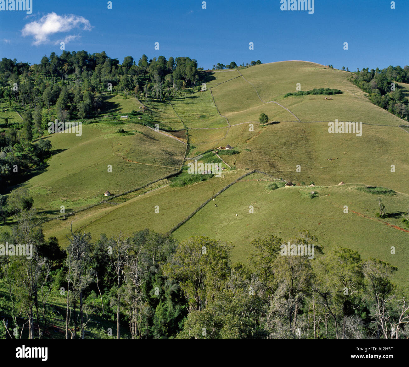 Traditional round houses, or rondavels, belonging to Pokot smallholders, dot the slopes of the Cherangani Hills. Stock Photo