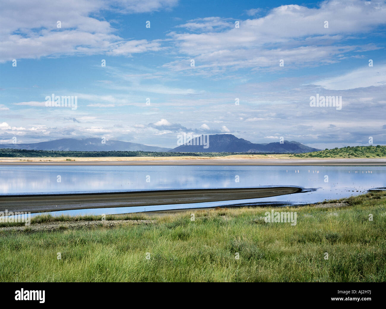 Lake Magadi, an alkaline lake of the Great Rift Valley in southern