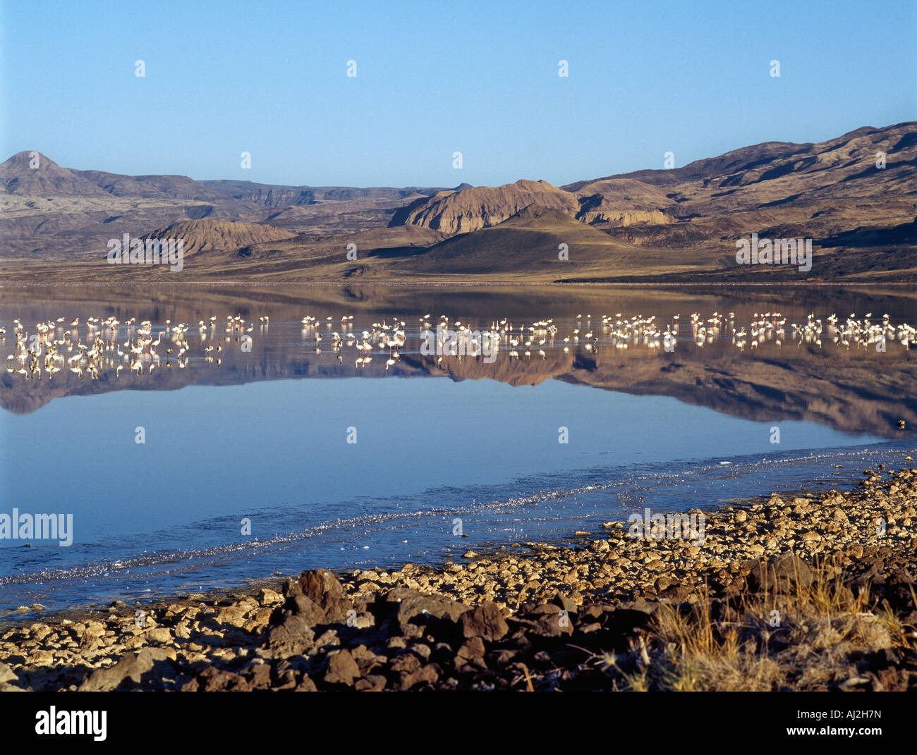 Lake Turkana, a seasonal alkaline lake of the Great Rift Valley in