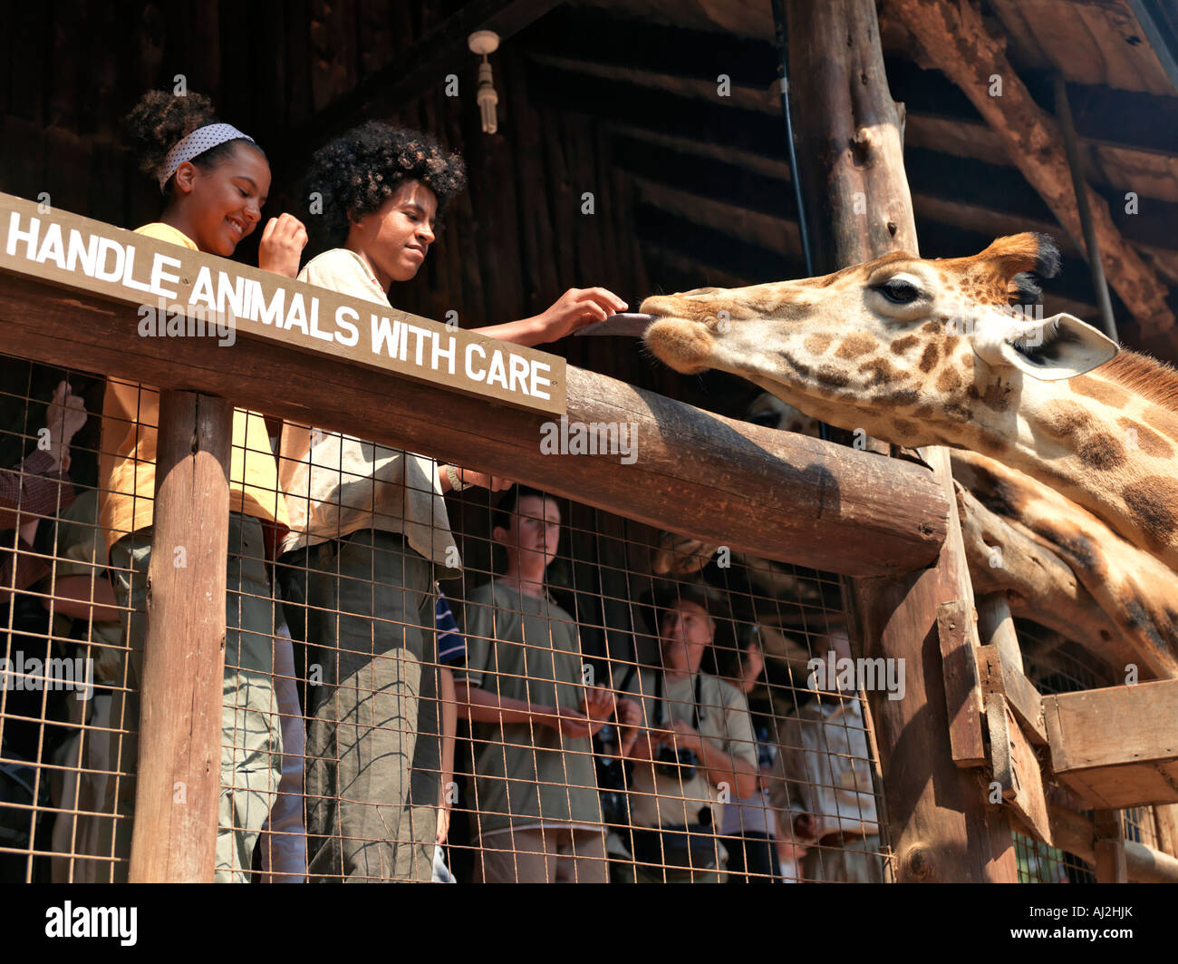 Children feed a Rothschild giraffe at the Giraffe Centre at Lang'ata on the outskirts of Nairobi. Stock Photo