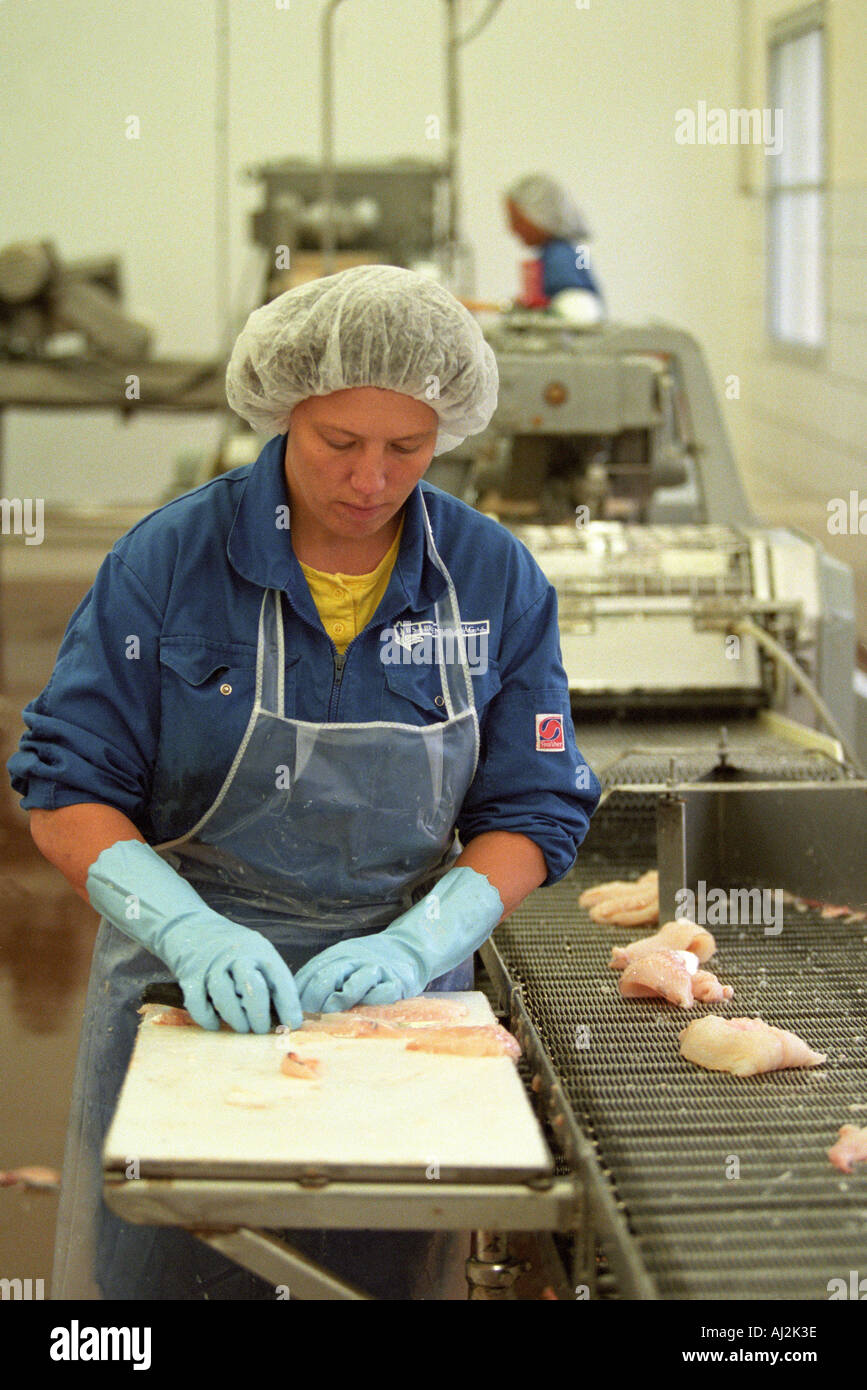Women in fish processing plant hires stock photography and images Alamy
