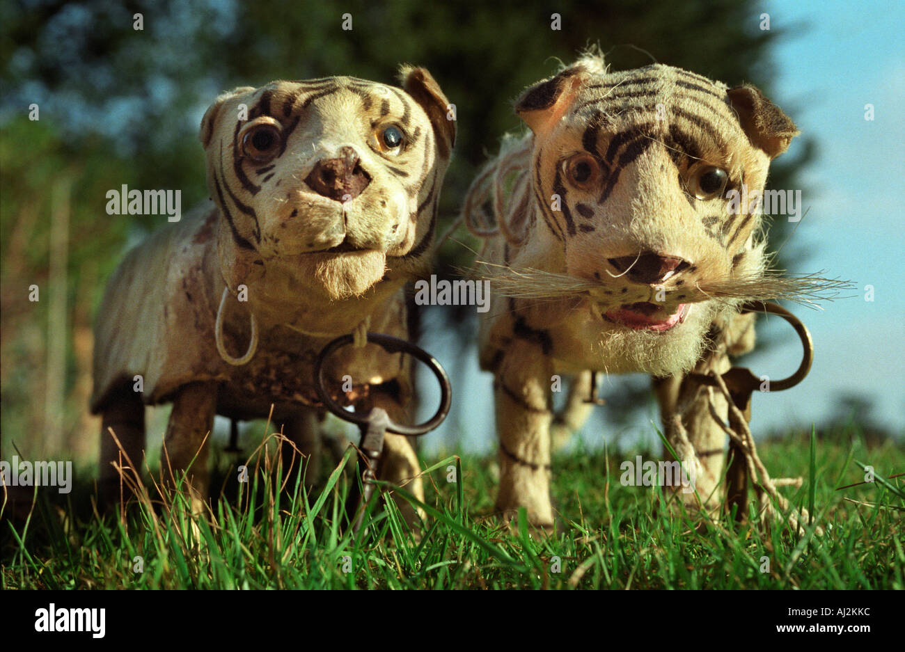 Victorian toy tigers with the keys to wind them up so they walk and growl Stock Photo Alamy
