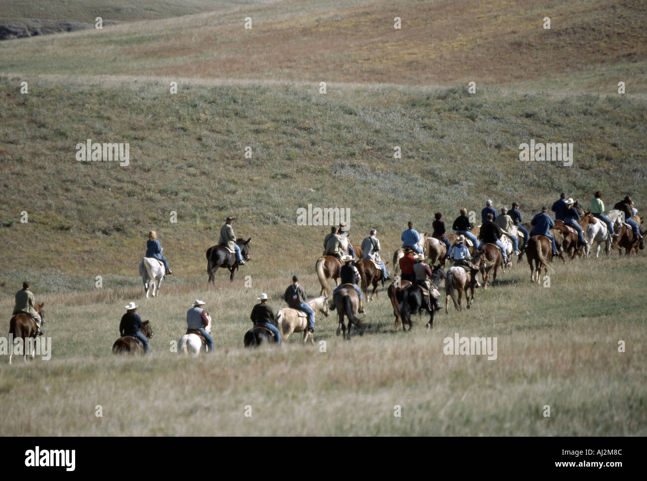 Many horseback riders riding off into the hills in Black Hills Custer