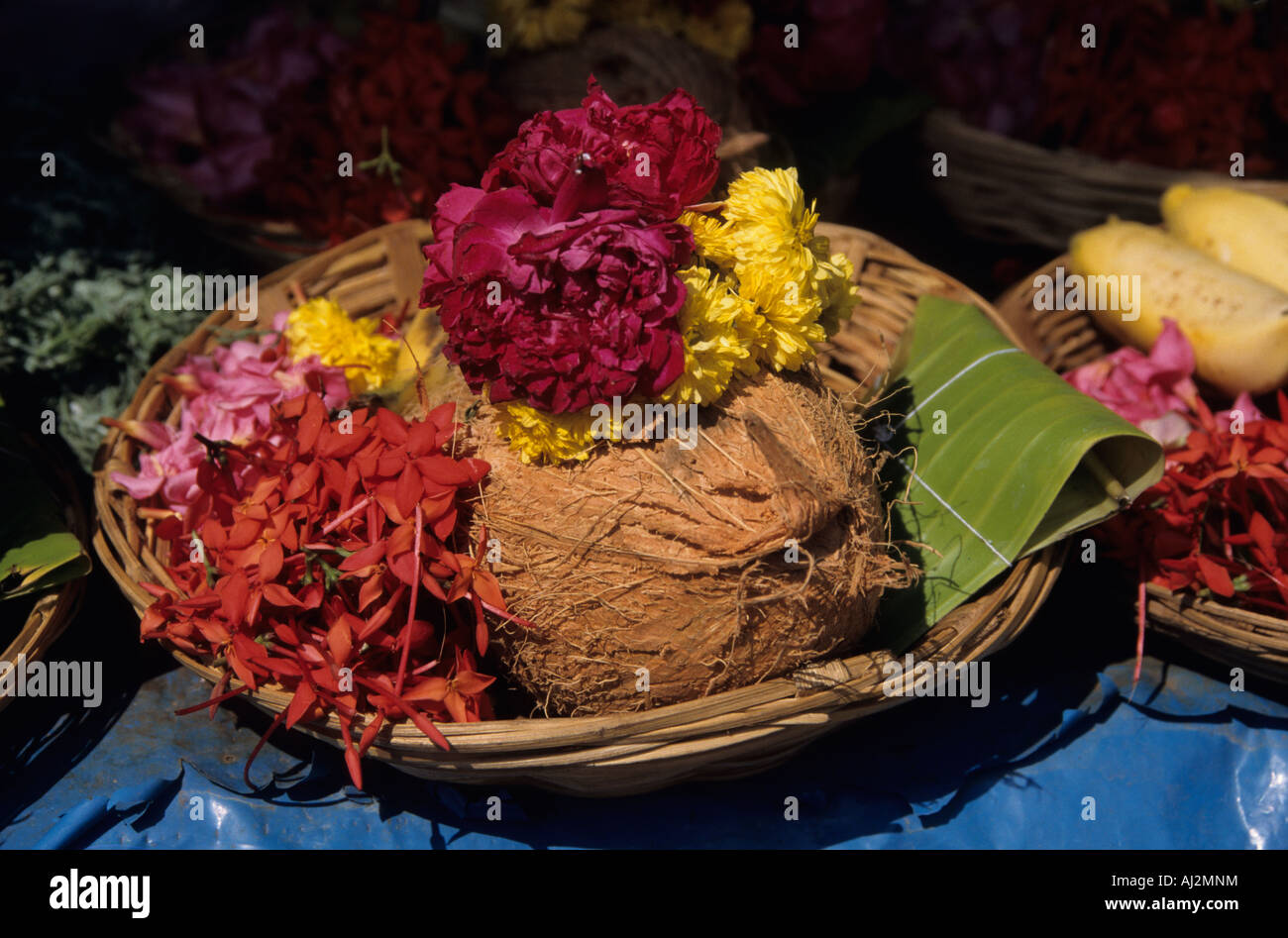 South India Karnataka Village Life Dying cotton Stock Photo Alamy
