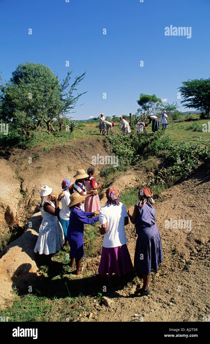Community members blocking a deep gulley with stones and branches to prevent flood damage and soil erosion. Eswatini (Swaziland) Stock Photo