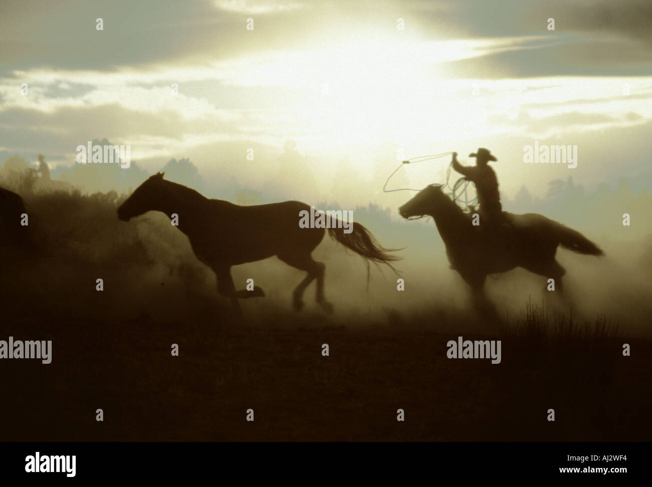 Team of pack horses hires stock photography and images Alamy