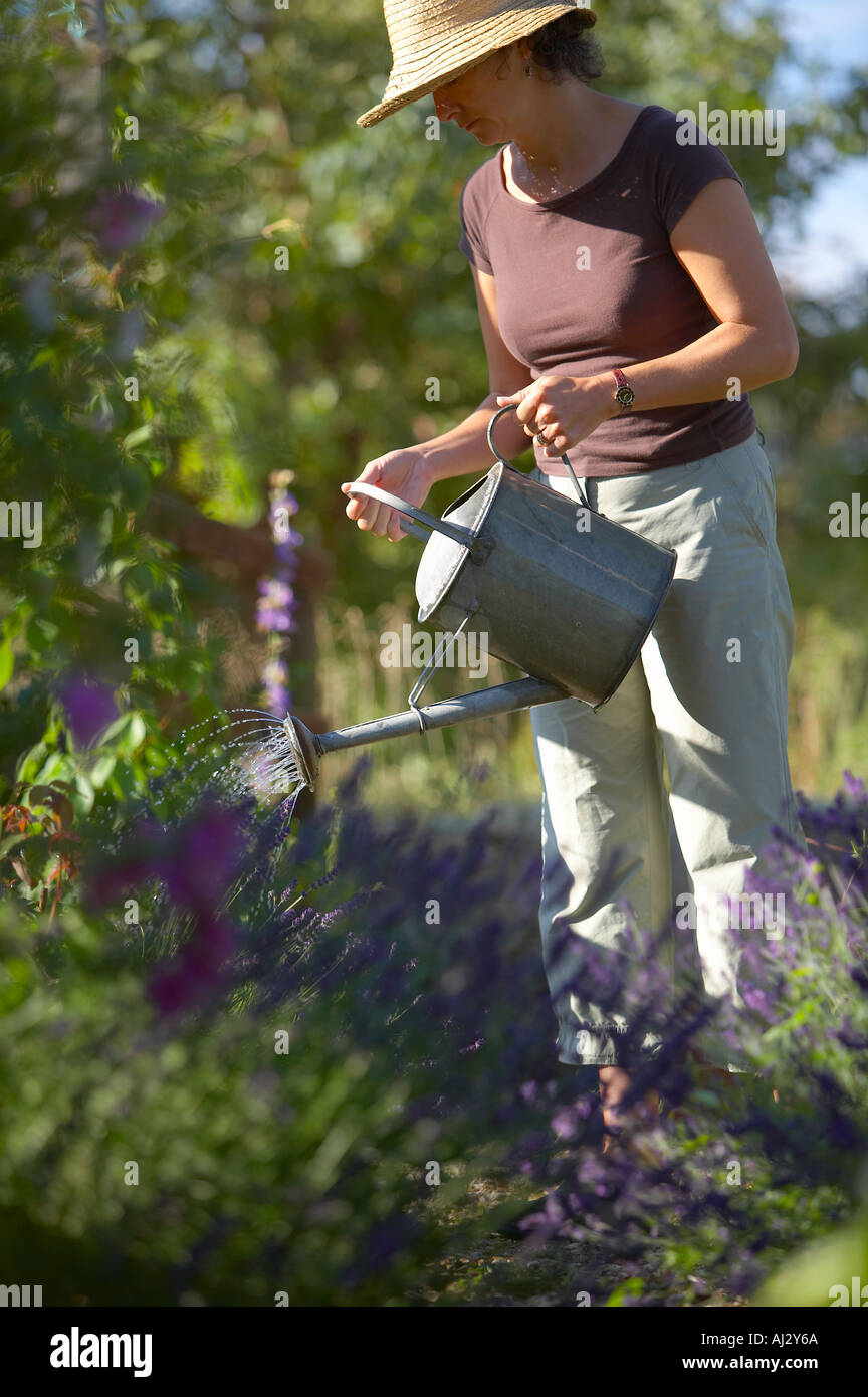 woman model released watering a garden Dorset England UK Stock Photo